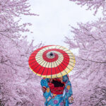 One-tap payment experiences: when they help growth and when they hurt margins