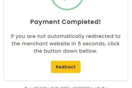 Payment fraud patterns in 2026: what merchants should block, review, and allow